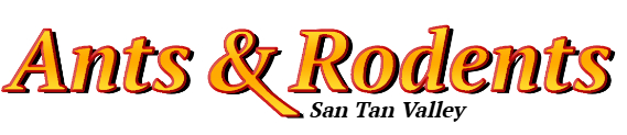 San Tan Valley Ant Exterminator & Rodent Control Company Logo